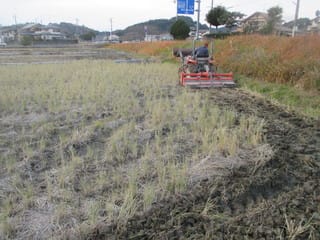 たんじゅん 田起こし ワイワイ菜園 たんじゅん農法試行中