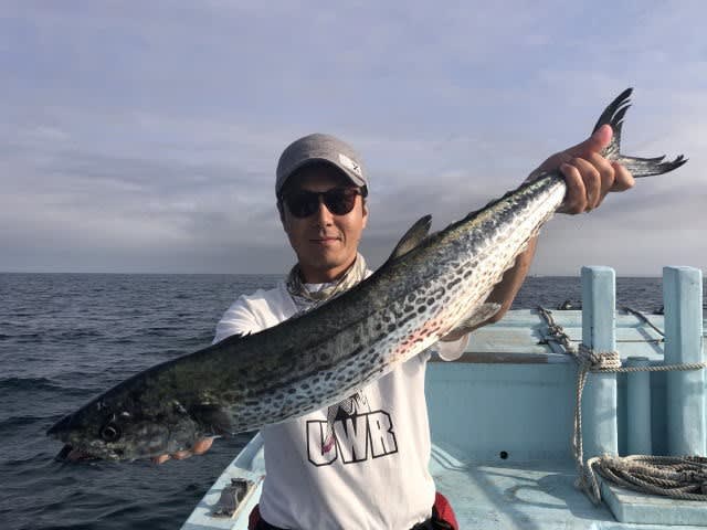 サワラ 愛知 伊勢湾 ジギング船 せいしょうまる