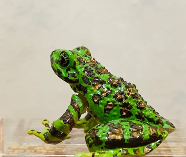 My Colections 6ページ目 My Colections 6ページ目