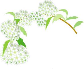 2011年2月のブログ記事一覧 Yosigamo Sakura の いけ花ガーデニング 緑 風 陽 と 花イラスト