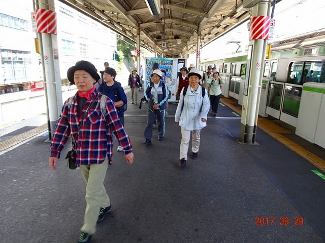 下町情緒薫る 寺町 谷中から上野散策 ウマさんの気ままな行動日記 その２