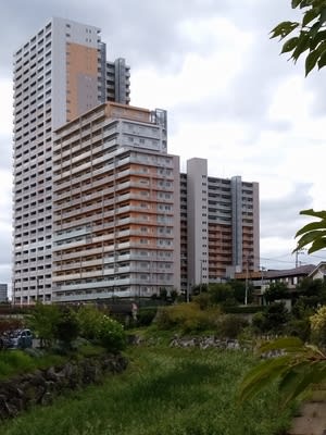 茨城県守谷市の高層マンション