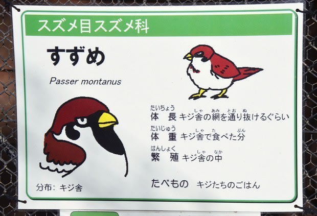 秋田の動物園 悪者顔のスズメ人気者 あなたとお花と猫とエコと健康