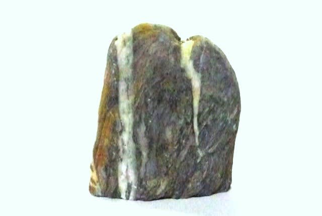 7月30日に揚石をした唯一の小形の 「滝石」 ～ 高さ約7cm