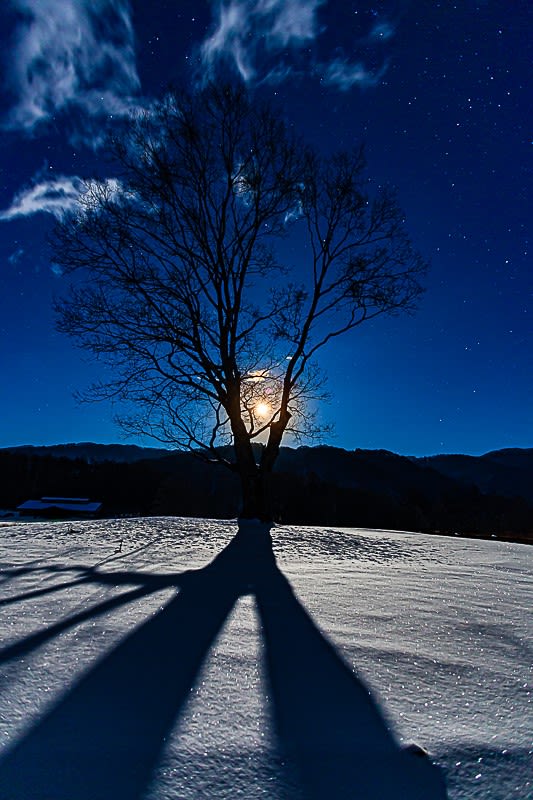 星月夜の写真