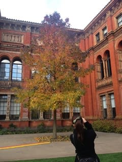 姫来ちゃん出産 移転にとまどうs Days