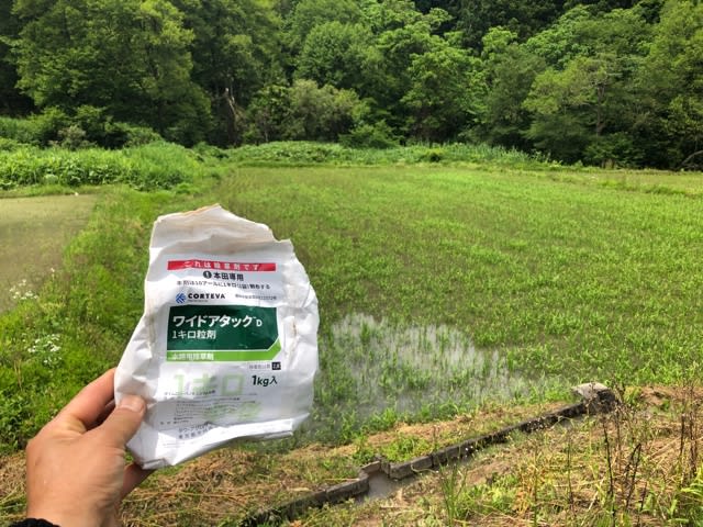 クリンチャー1キロ粒剤 1kg 水稲用中期除草剤 ノビエ特化 農薬