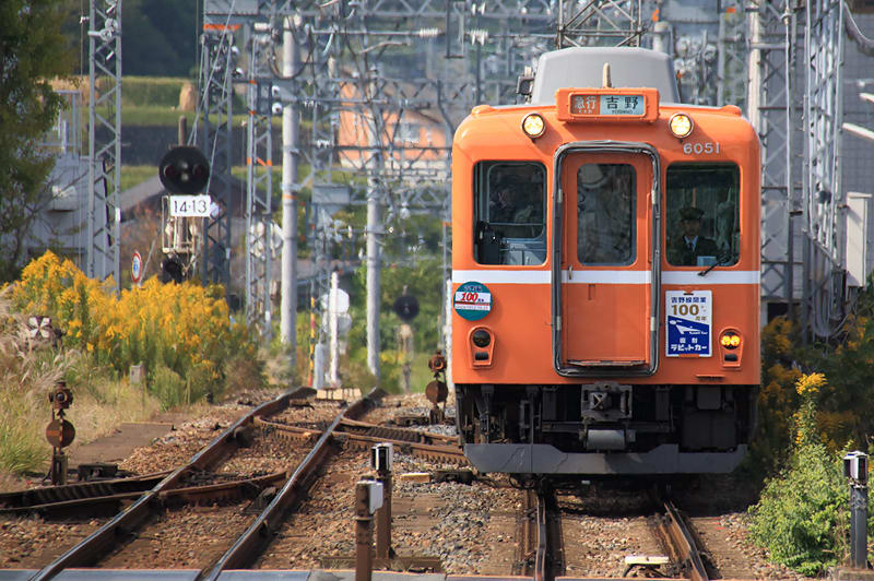 ラビットカー,近鉄南大阪線,近鉄電車,吉野線開業１００周年記念列車,復刻ラビットカー,６０２０系