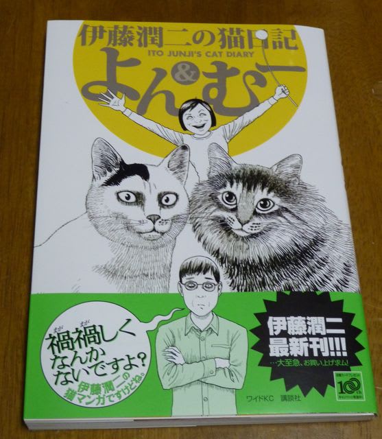 漫画１ よん むー Majyoneko 羊毛フェルトと猫まみれの日々
