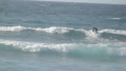 Dsc03191