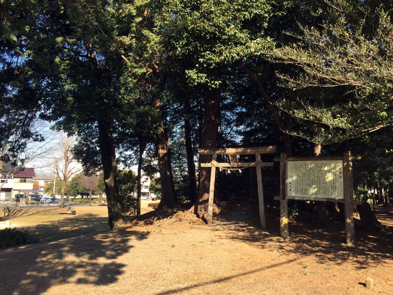 雷電神社 (埼玉県宮代町)