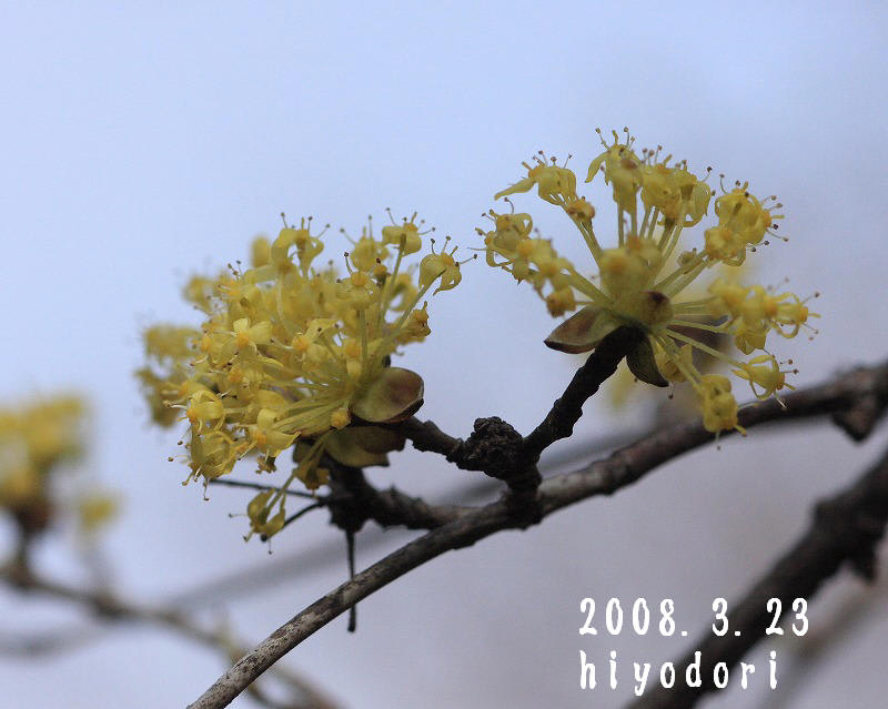 Simg_0240ta_2 Simg_0240ta_2