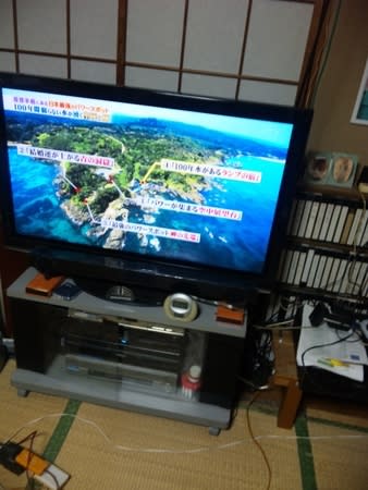 黒滝幸子さん可愛い 渡瀬マキさん可愛いかわいい 素晴らしい美人 コピーペーストは Ctrl C Ctrl V です 黒滝幸子さん可愛い 渡瀬マキさん可愛いかわいい 素晴らしい美人 コピーペーストは Ctrl C Ctrl V です
