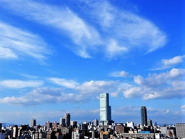 ケンウン 恋する花たち