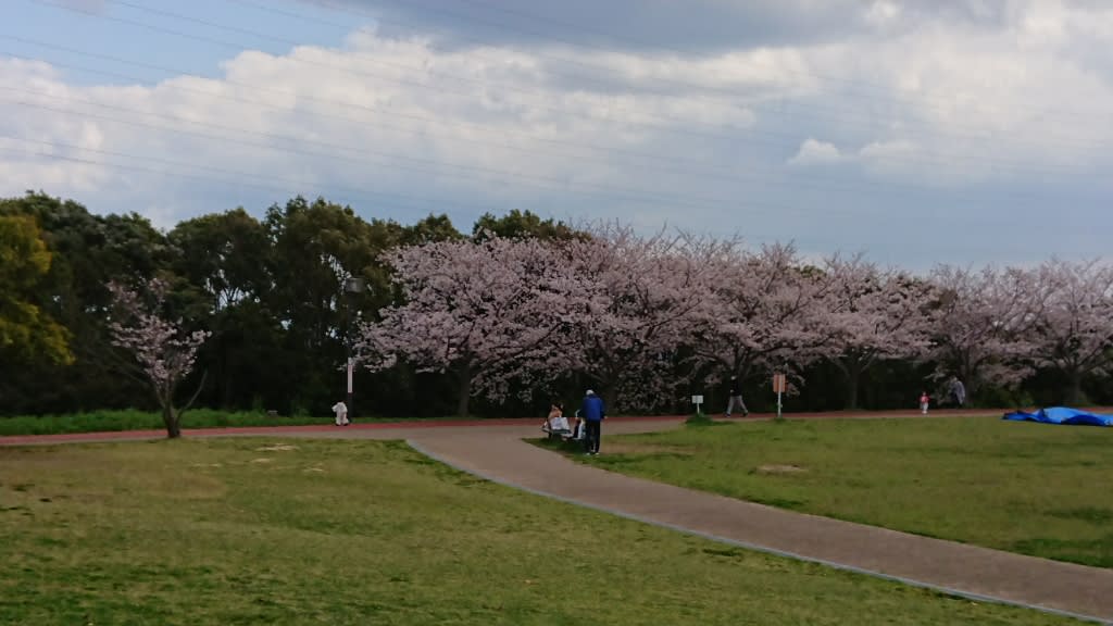 垂水健康公園4 2 2 ひまわりの夢企画 垂水健康公園4 2 2 ひまわりの夢企画