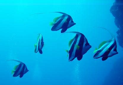 美ら海便り 3ページ目