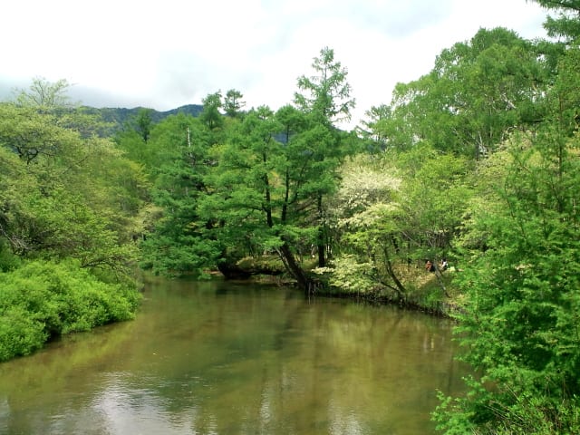 F1000012_2 F1000012_2