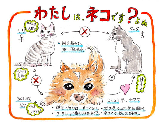 わたしは ネコ です おさんぽスケッチ にじいろアトリエ 水彩 色鉛筆イラスト スケッチ