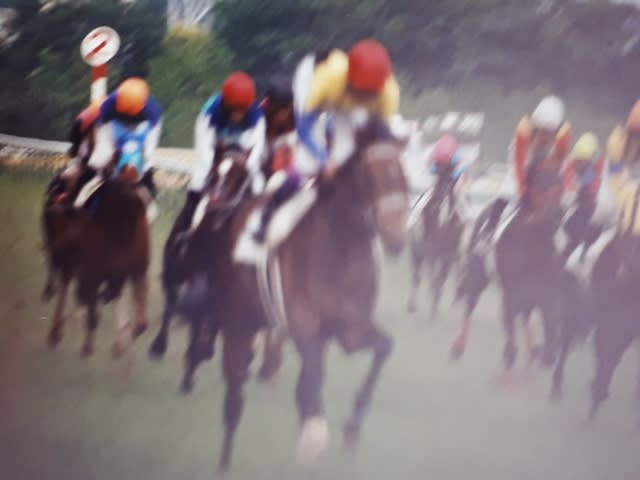 15年前のみーやん写真 その2 - 馬とか猫とか鳥とか恐竜とか!