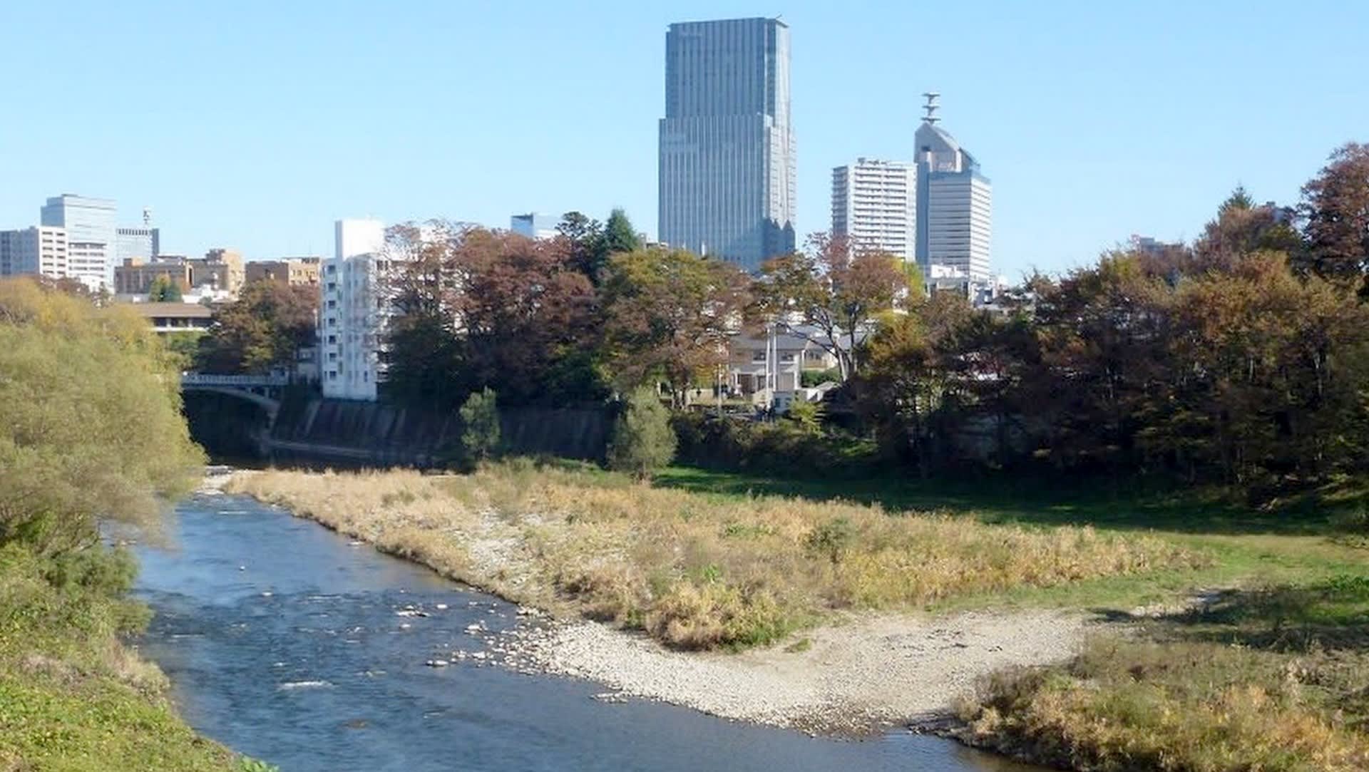 杜の都 仙台 広瀬川流れる岸辺 青葉通り香る葉みどり 比企の丘