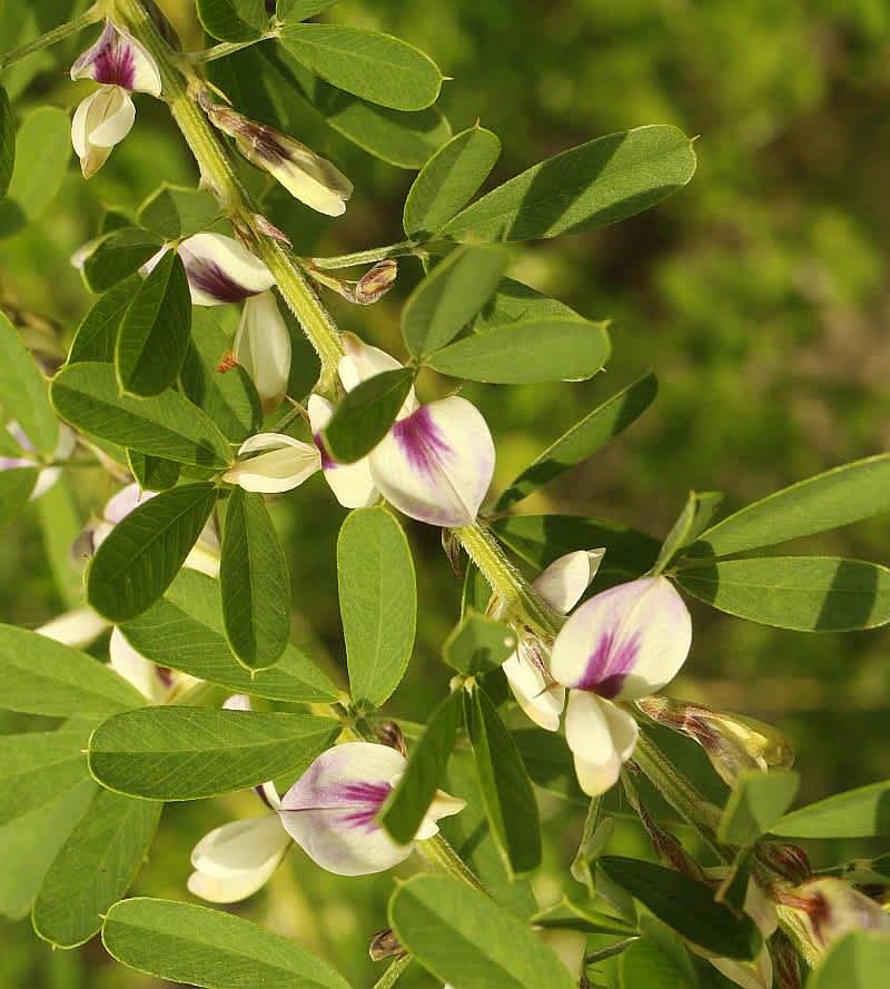 19年8月のブログ記事一覧 アブリル どこにでもあり どこにもない 19年8月のブログ記事一覧 アブリル どこにでもあり どこにもない