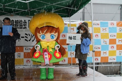 気仙沼大島観光協会 島おとめ オフィシャルキャラクターのネーミングが決定しました 南三陸 気仙沼を体感 来て見て浜ライン 気仙沼大島観光協会 島おとめ オフィシャルキャラクターのネーミングが決定しました 南三陸 気仙沼を体感 来て見て浜ライン