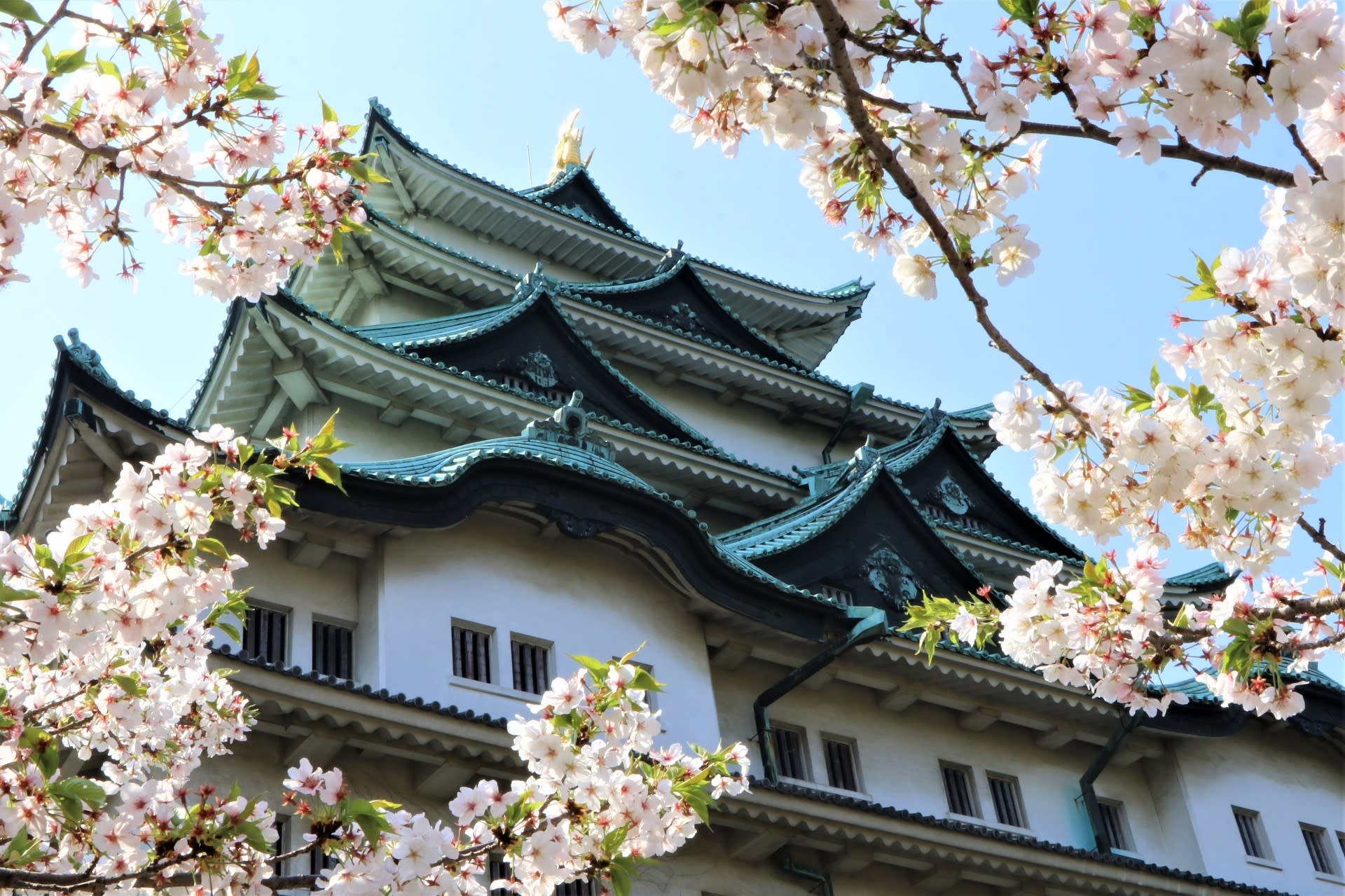 華麗な城景色 写真ブログ ずバッと 今日の１枚