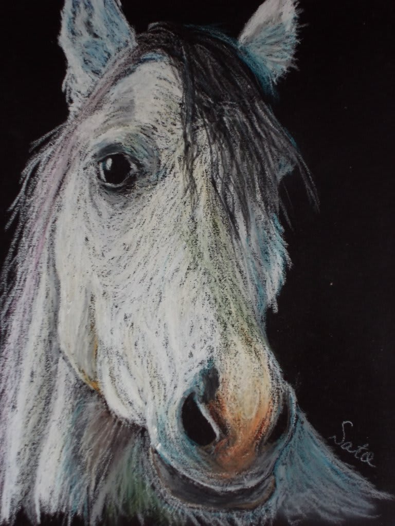 チョークアート　シマウマ チョークアートキット「シマウマとベーグル」 イラスト