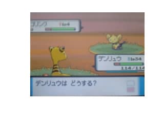 ポケトレ 仏の顔もなんとやら ポケトレ 仏の顔もなんとやら