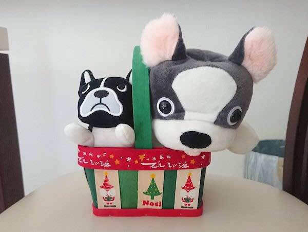 フレブルのぬいぐるみ達と - フレンチブルドッグ せんちゃん