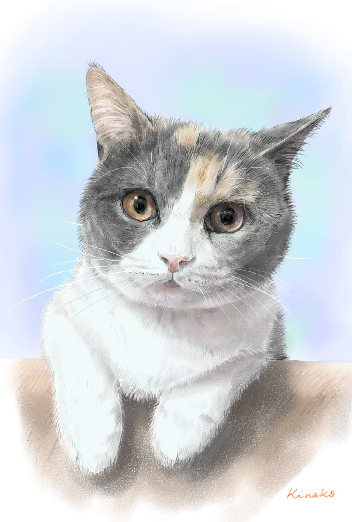 ブリティッシュショートヘアの ぎずも ちゃん 猫絵で 猫絵日記