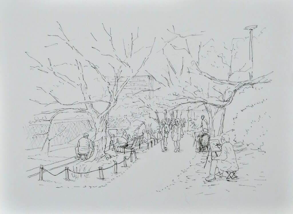 夙川の桜並木 の絵を描きました どろ亀のプロムナード