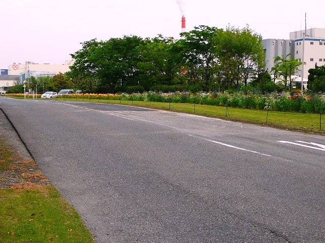 余所の花は赤いの画像