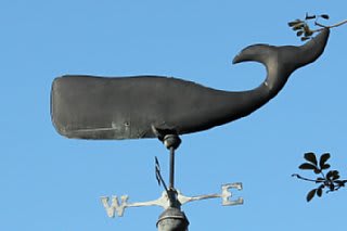 くじらｇｏｏｄｓ ｏｐｔ３２ 詠う鯨 Whale That Sings