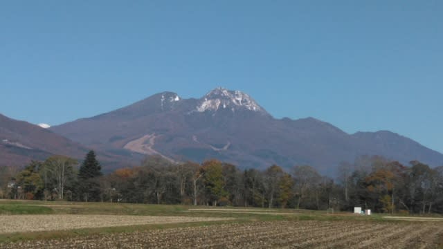 Ecoファームやまぎしブルーベリーとやさいの農園日記