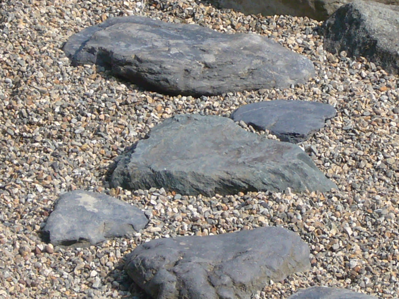 https://blogimg.goo.ne.jp/user_image/09/03/d2e726976cb3fa3268147a44b9710788.jpg