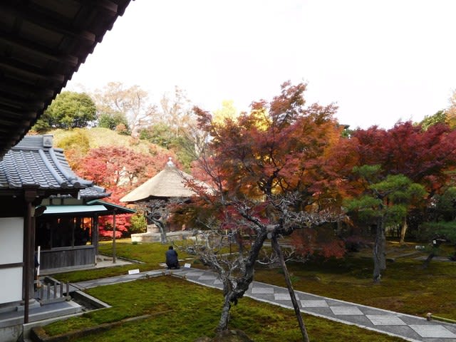 季節・曜日限定の『長寿寺』紅葉 - まい、ガーデン