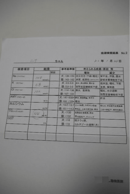 ニアの血液検査結果 のんびり ゆったり ニアの血液検査結果 のんびり ゆったり