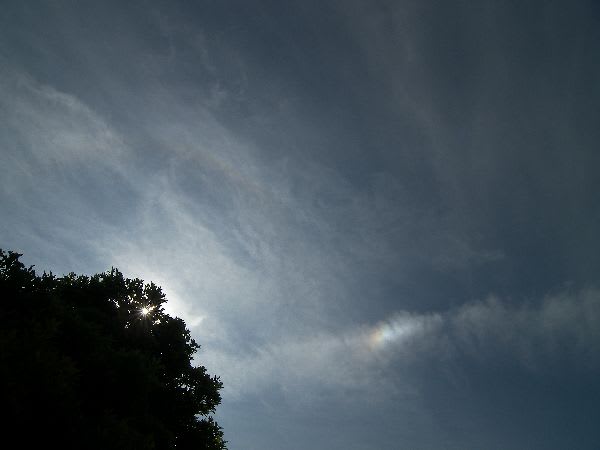 120613100_9779 120613100_9779