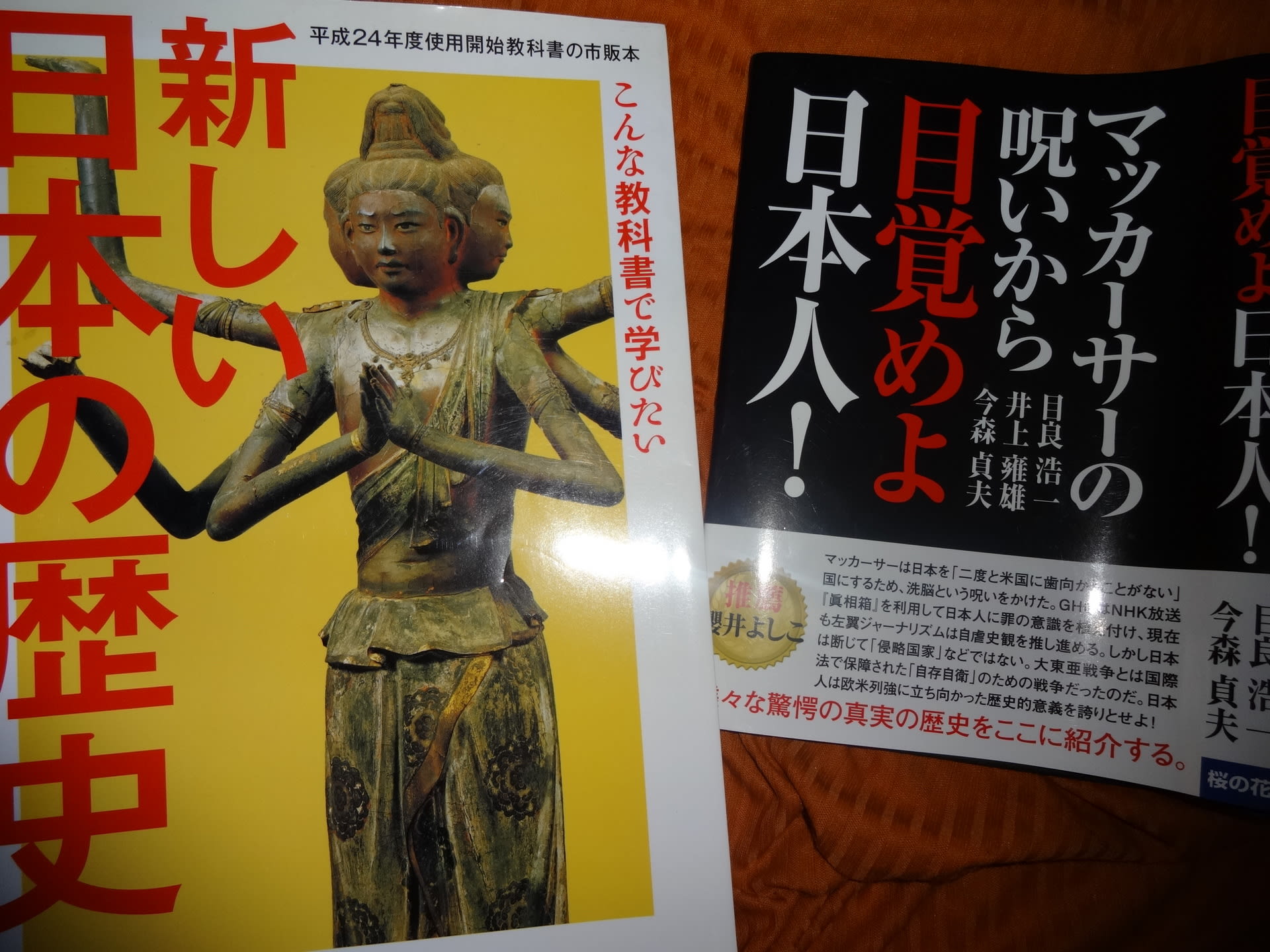 日本を出て気付かされた日本のおかしさ サンパウロの庶民的生活 日本を出て気付かされた日本のおかしさ サンパウロの庶民的生活