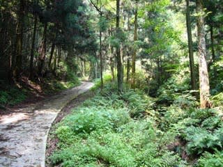 多田銀銅山台所間歩跡から瓢箪間歩跡への山道の写真