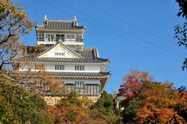 金華山 岐阜城の紅葉 最高です 長良川観光ホテル 石金ブログ