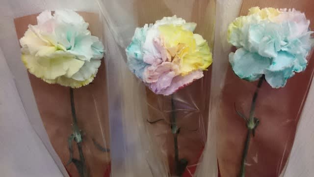 母の日に カラフルなカーネーション とりあえず走れ 目指すはサンチアゴだ