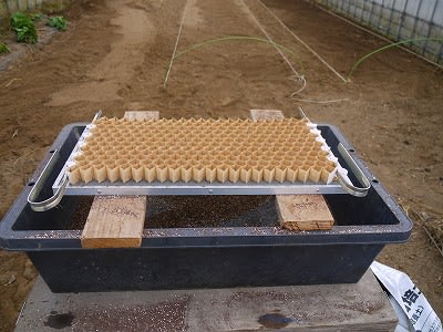 ネギ 培土詰め作業良い感じ 岳と百姓と