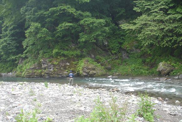 アユ釣り情報 神流川 南甘 解禁 南甘は難関と読むのだよ かわ遊び やま遊び雑記