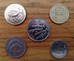 アイスランドのマリーン硬貨 レイキャビク西街ひとり日誌 Blog From Iceland