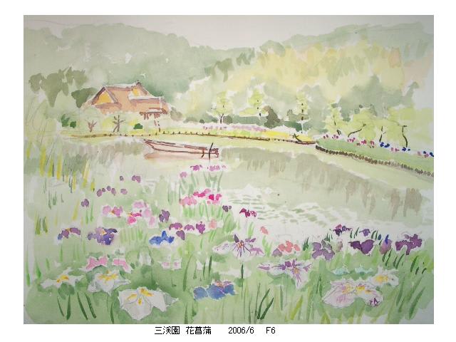 菖蒲 水彩画 原画 足せれ 菖蒲 水彩画 原画 足せれ