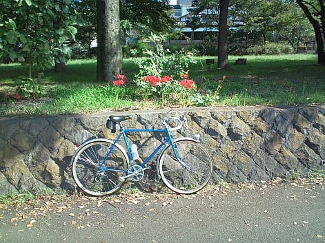 野川 サイクリング 野川 サイクリング