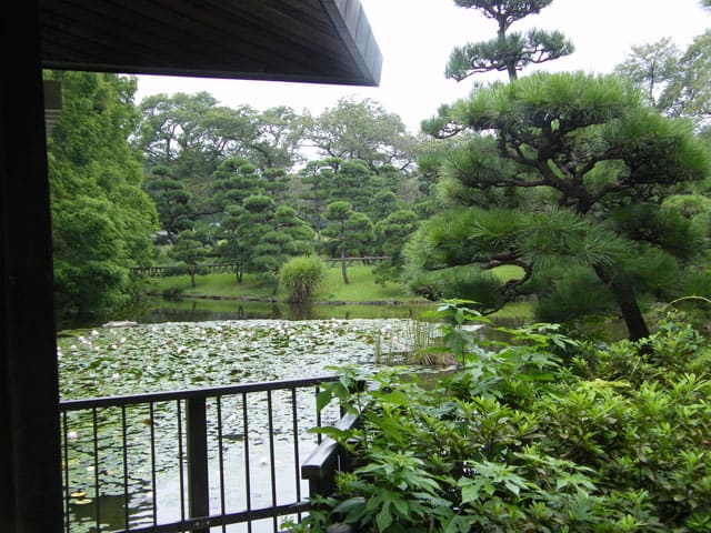 日本庭園と呼べる 神代植物公園 調布市 北へ南へ 東へ西へ 日本庭園と呼べる 神代植物公園 調布市 北へ南へ 東へ西へ