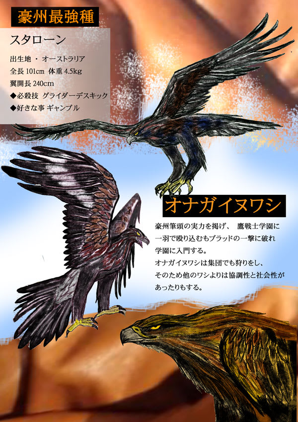 オーストラリア最大の猛禽類 鷹戦士学園 Japanese Manga 当ブログはリンクフリーの格闘漫画です